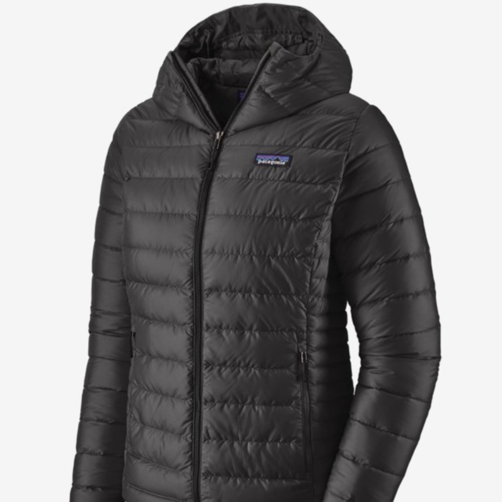 Patagonia Down Sweater Hoodie